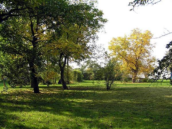 Naše služby