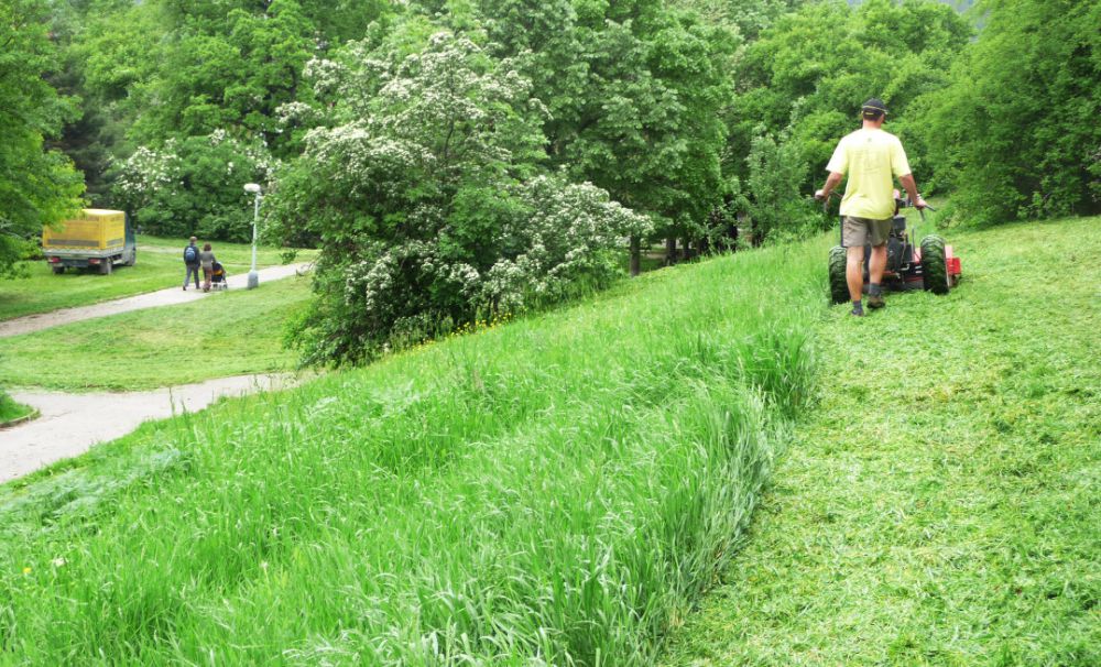 Naše služby