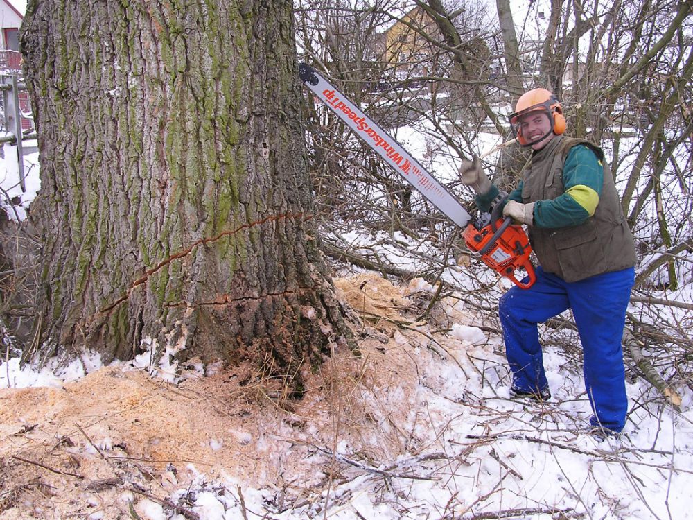 Naše služby