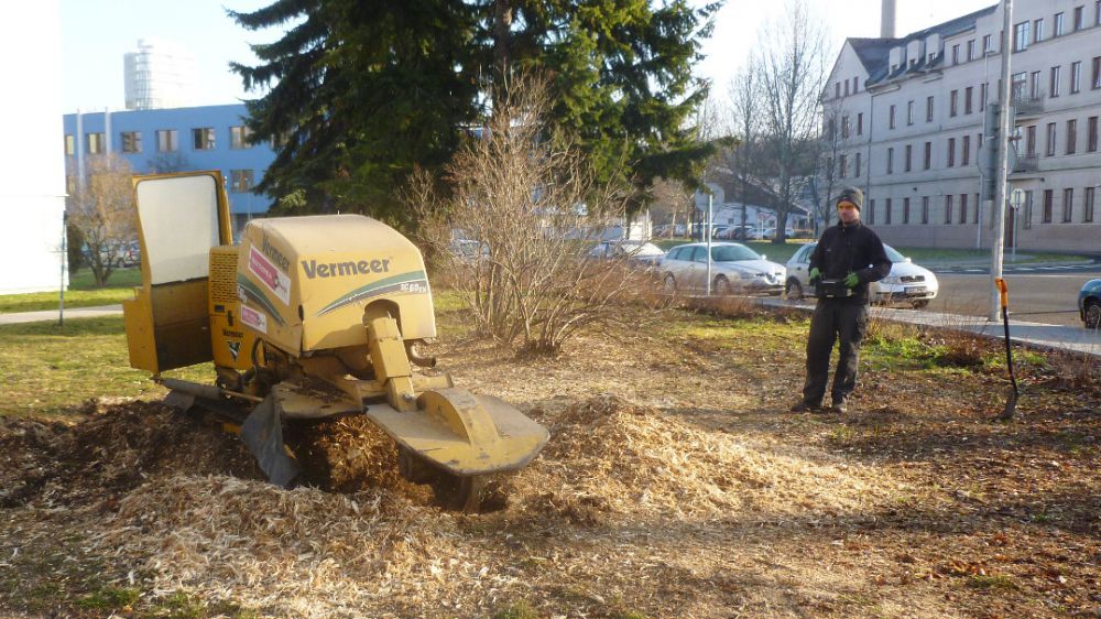 Naše služby